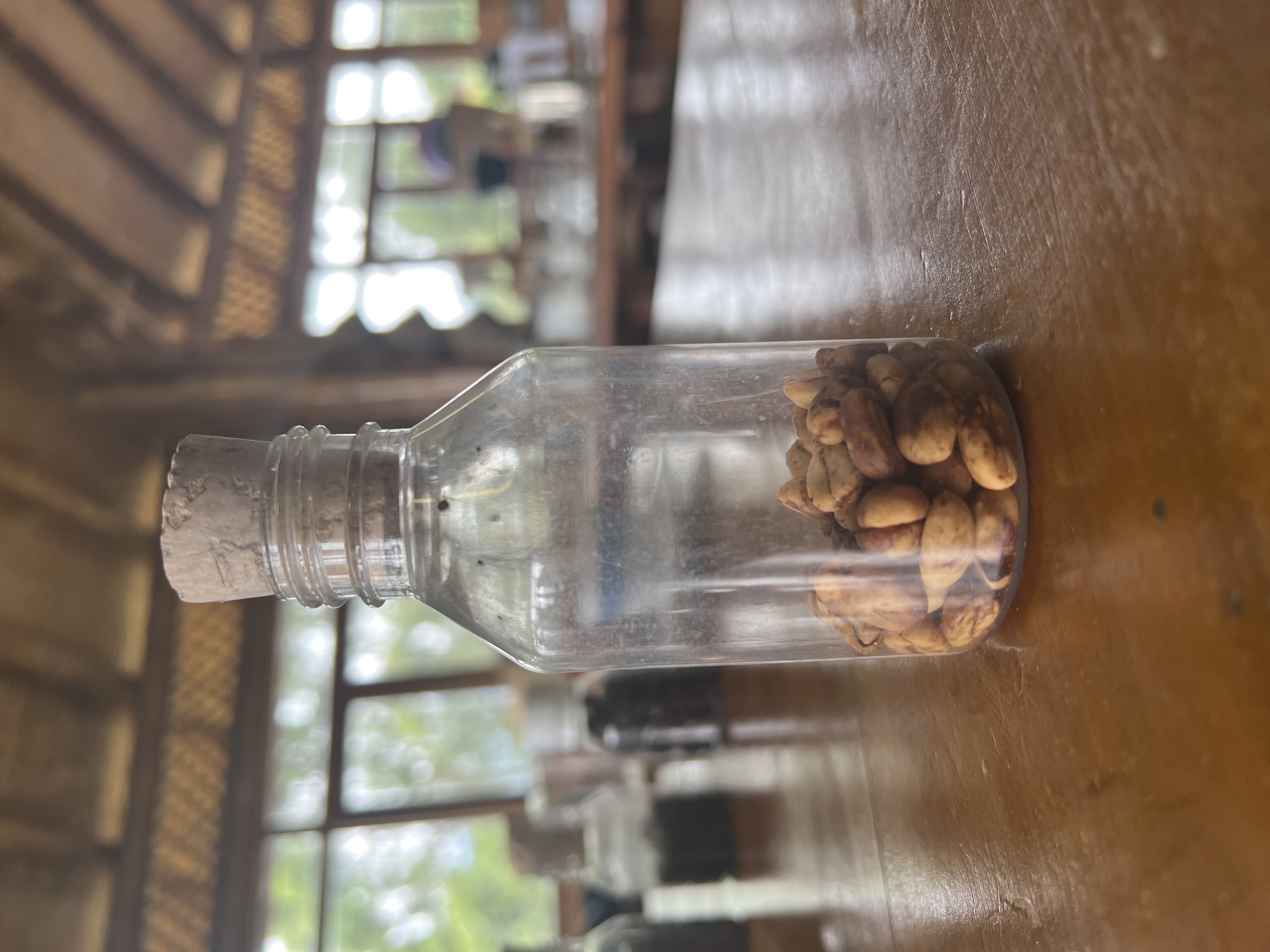 Widok doliny Monzón